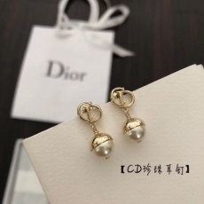 Christian Dior Earrings